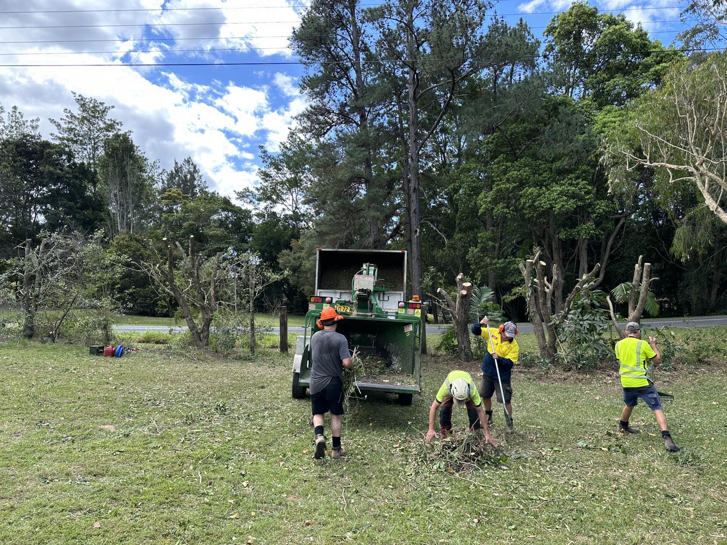 Cleaning up - Branching Out Tree Services | Tree Removal Sunshine Coast ...