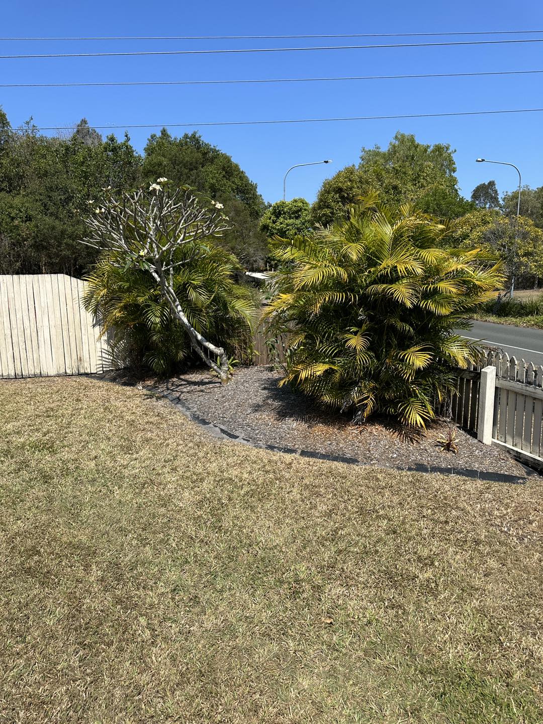 Gallery 1 Branching Out Tree Services Tree Removal Sunshine Coast