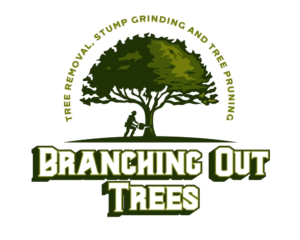 Branching Out Tree Services | Tree Removal  Sunshine Coast | Stump Grinding